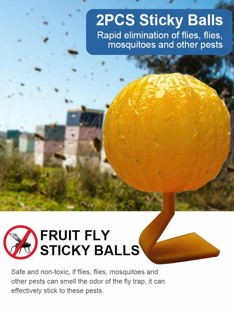 2pcs Effective Fly Catcher Killer Non-Toxic Flying Insects Traps Ball for Plants  |  Moldproof Supplies