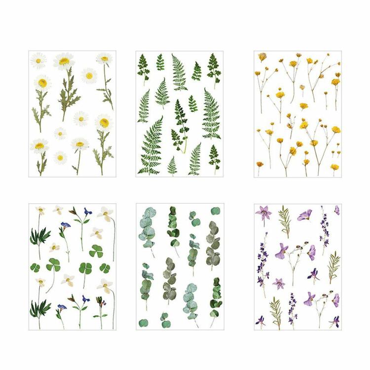 PET Flowers Stickers DIY Plants Journal Stickers Water for Photo Albums  |  Decorations